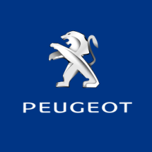 Blue, PEUGEOT(logo),150x150cm
