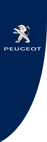 Blue, Peugeot,150x450cm