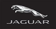 Black, Jaguar Flag
