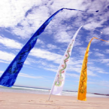 Dragon Festival Flags-1