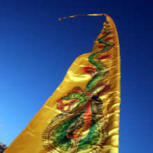 Dragon Festival Flags-2