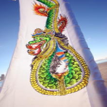 Dragon Festival Flags-3