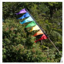 Pennant Festival Flags-1