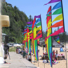 Pennant Festival Flags-2