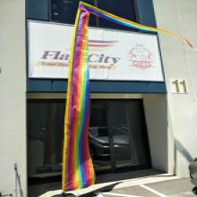 Rainbow Festival Flag