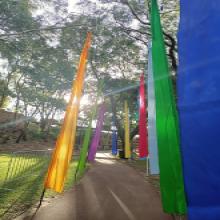 Single-coloured Festival Flags-2